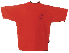 t-shirt.gif